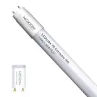Noxion LED Röhre T8 Avant Extreme (EM/Mains) High Output 16.5W 2650lm - 865 Tageslichtweiß | 150cm - Ersatz Für 58W